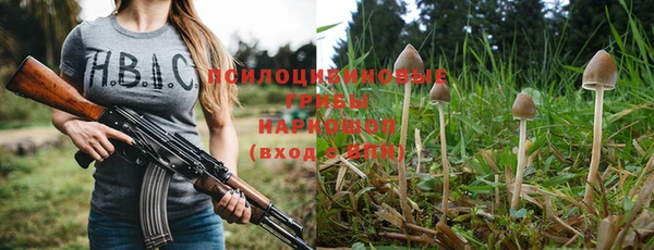 спайс Краснослободск