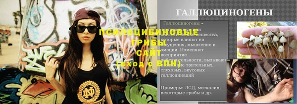 стафф Краснотурьинск