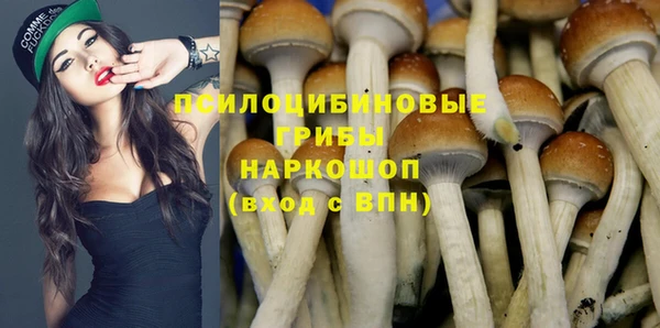 спайс Краснослободск