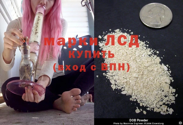 стафф Краснотурьинск
