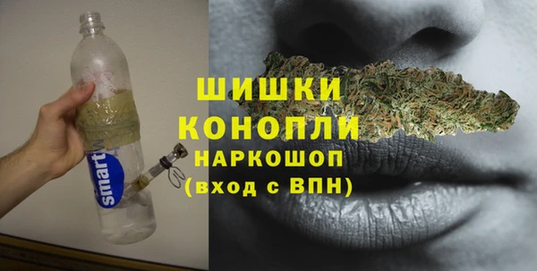 стаф Санкт-Петербург